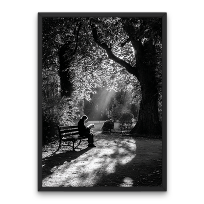 Afternoon Break Poster