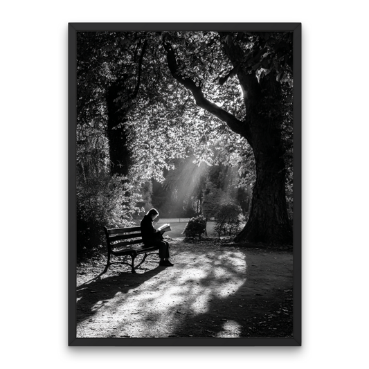 Afternoon Break Poster