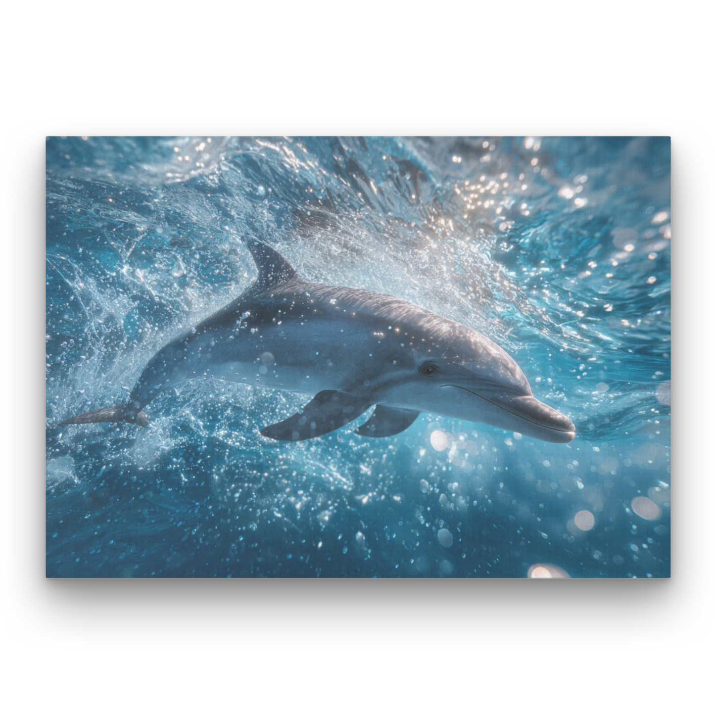 Playful Dolphin Leinwandbild