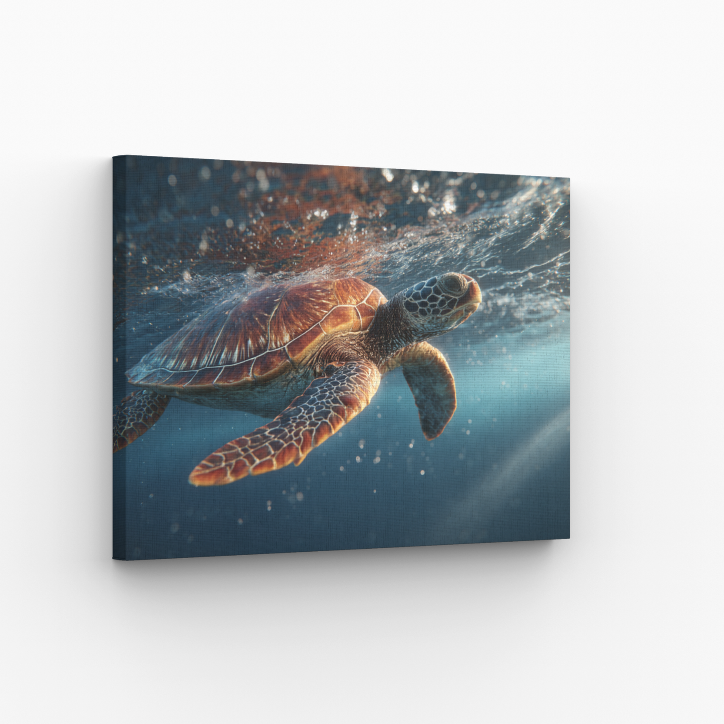 Sea Turtle Leinwandbild